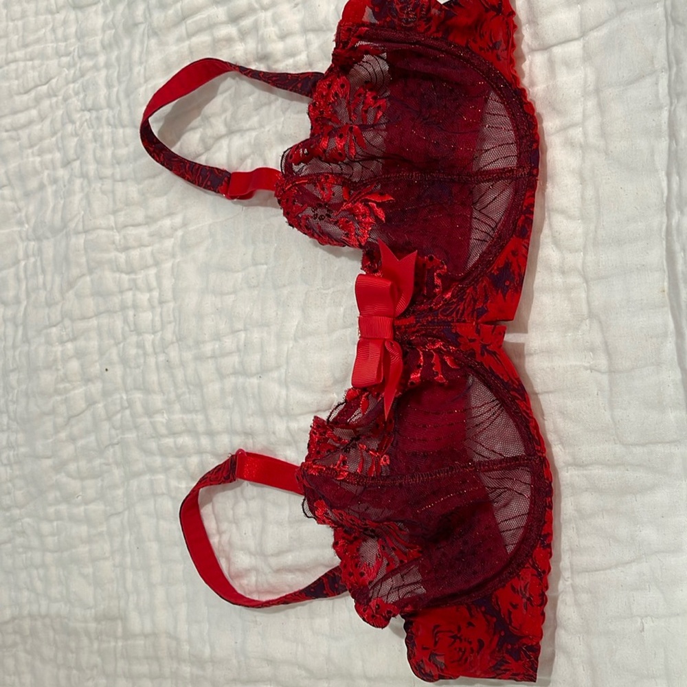 Gorgeous red and purple Aubade bra (34C)